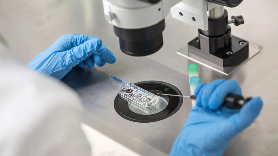 Exploring Assisted Reproductive Technologies in Ukraine: A Comprehensive Guide