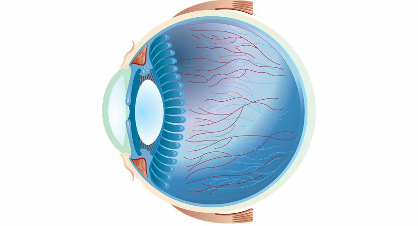 Göz Protez Uygulamaları